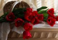 /album/sima-vegyes-viragos-kepek-/a607501-bigthumbnail-2-jpg/